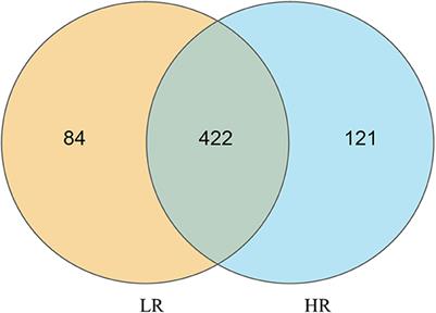 Metagenomic insights into the relationship between gut microbiota and residual feed intake of small-sized meat ducks